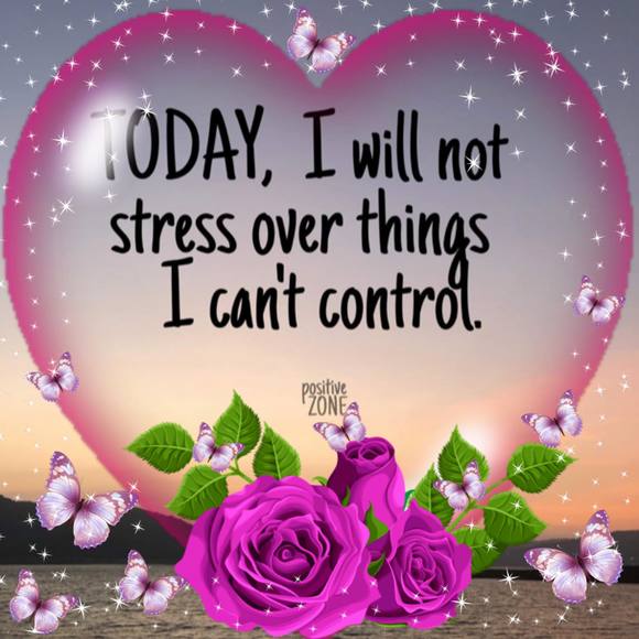 Meet your Posher, Alexus - Picture 1 of 1